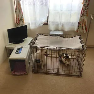Stayあけぼし館 アパート